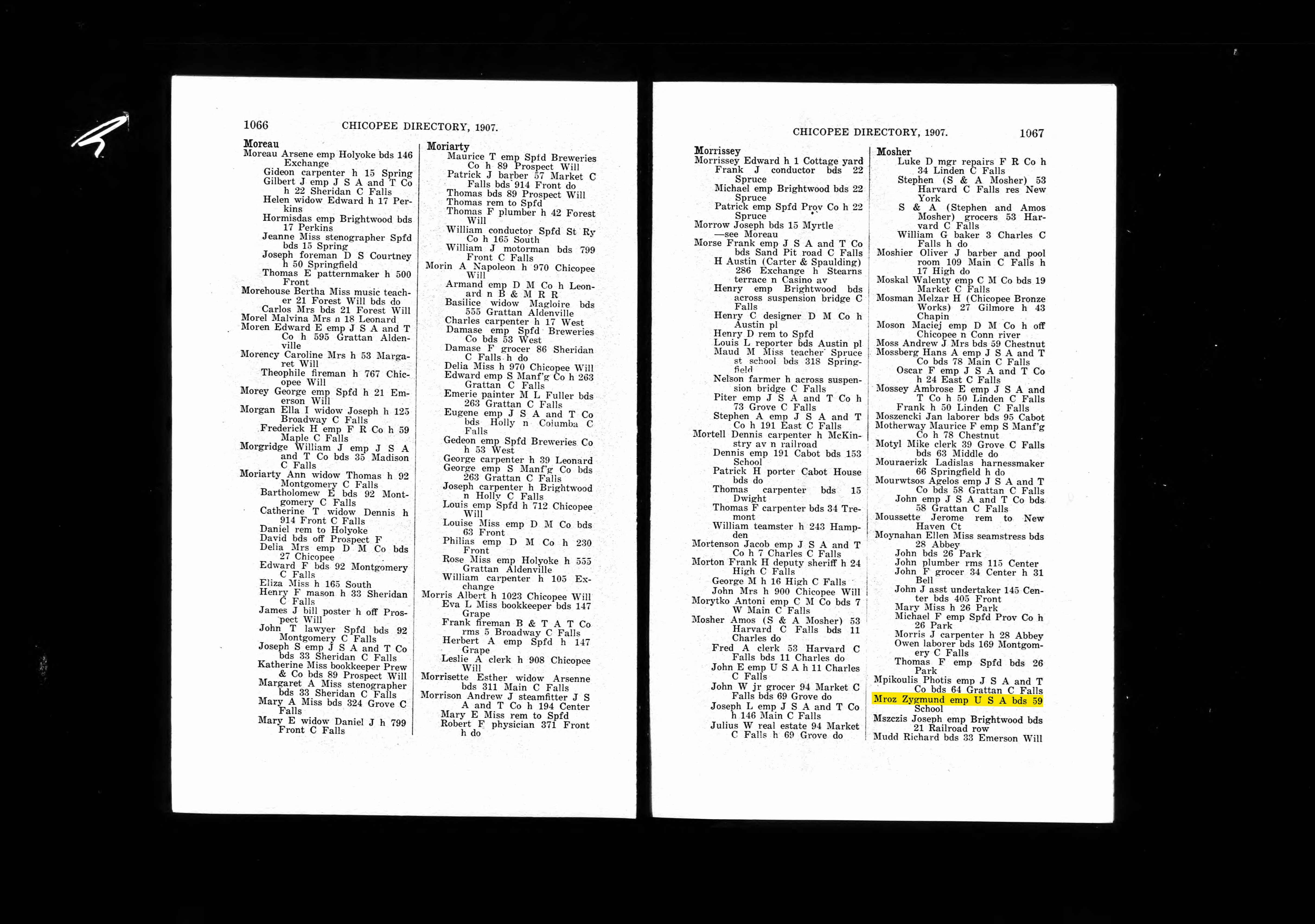 Springfield (Chicopee) City Directory, 1907